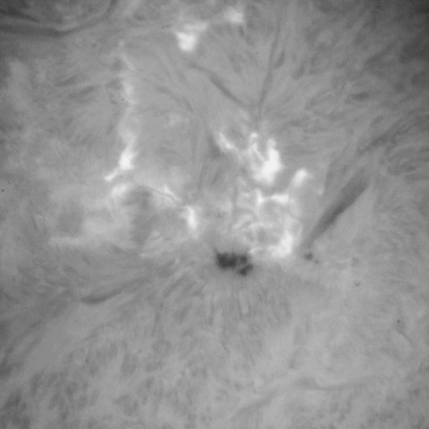 2/12の太陽(Hα M6.5フレア後)