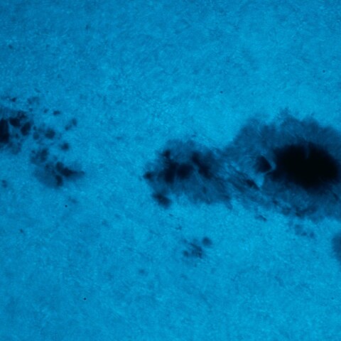 黒点半暗部周辺の現象(3590)2/24