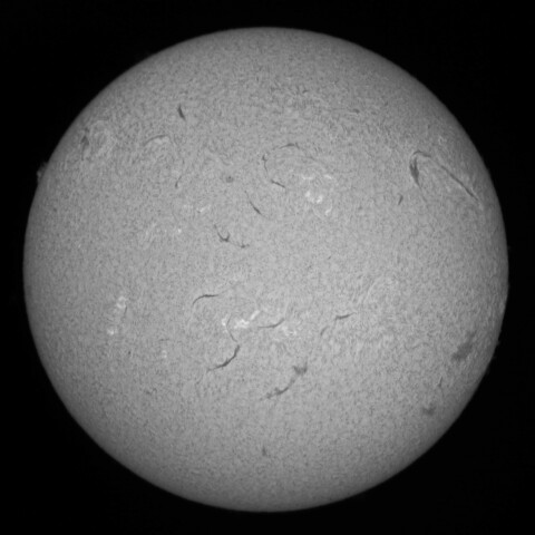 3/16の太陽(Hα中心付近)