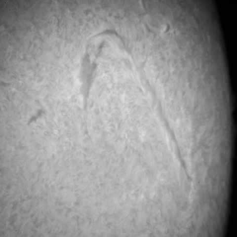 3/16の太陽(フィラメント)