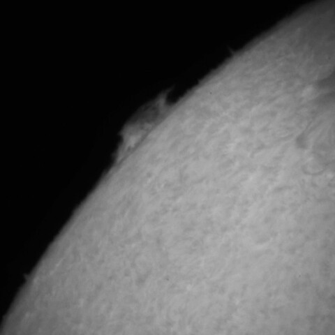 3/16の太陽(プロミネンス)