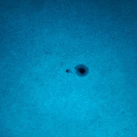 黒点半暗部周辺の現象(3614)3/24