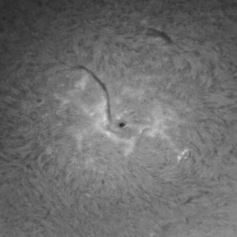 3/24の太陽(3614付近)