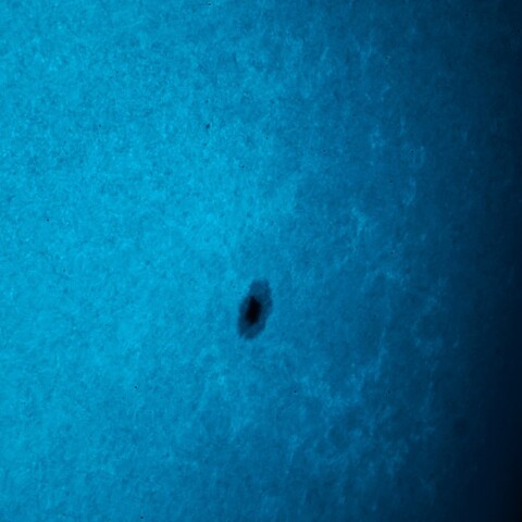 黒点半暗部周辺の現象(3614)３/27