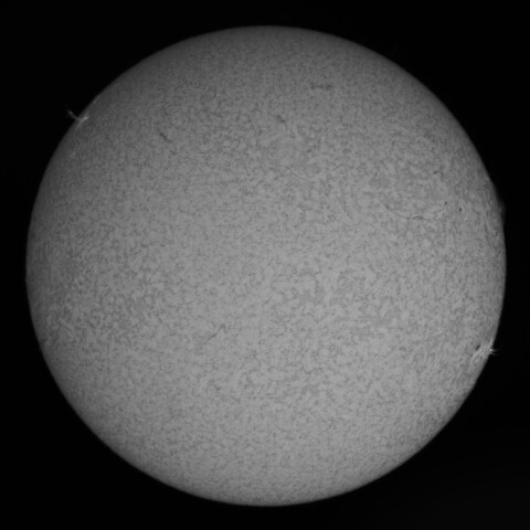 3/30の太陽面(Hα少し長波長側)