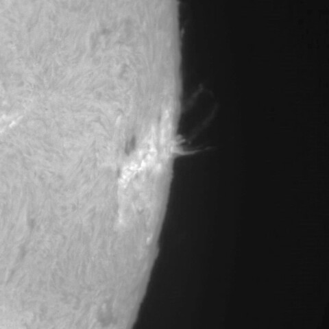 プロミネンス3/30(3615付近)カラー撮影画像からのモノクロ化テスト