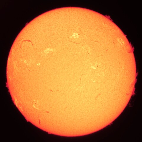 4/14の太陽(Hα中心付近)