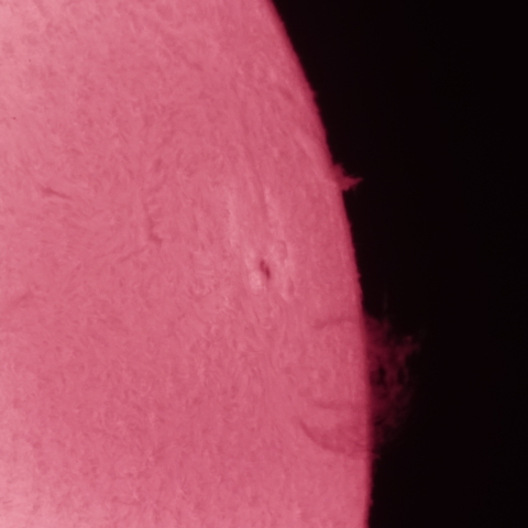 4/14の太陽(ふわふわしたプロミネンス)