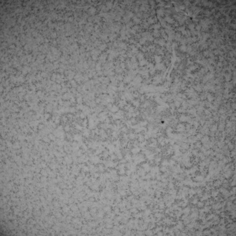 4/13の太陽(Hα少し長波長側)黒点多いところ拡大