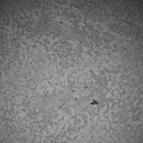 4/20の太陽(Hα少し長波長側)黒点多いところ拡大