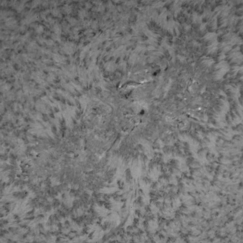 4/20の太陽(Hα少し長波長側)3645付近拡大