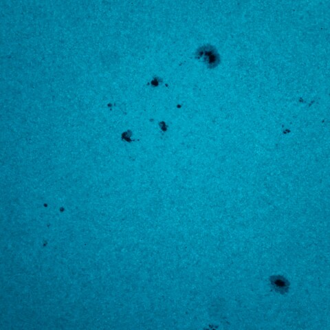 黒点半暗部周辺の現象(3654、3655、3656など)4/25