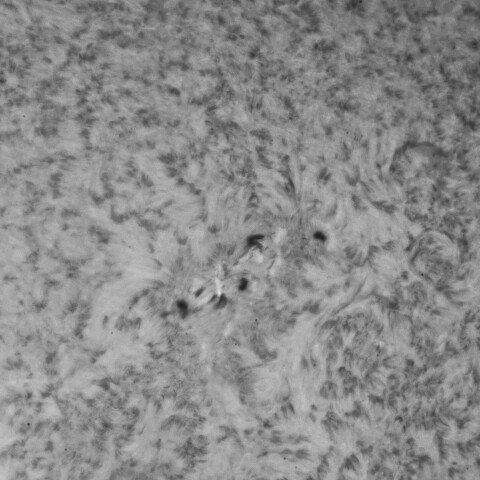 4/28の太陽(Hα少し長波長側)3656付近拡大