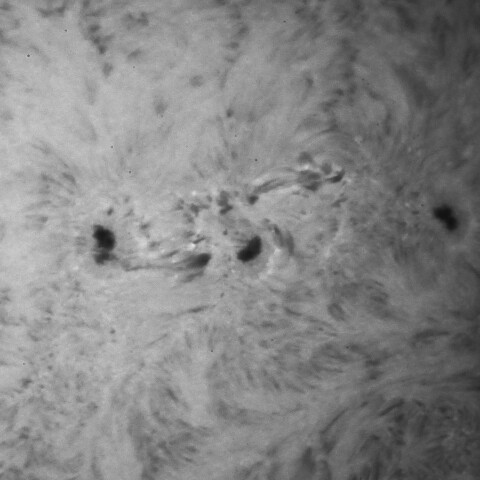 4/28の太陽(Hα少し長波長側)3656付近拡大※SE120L改PSTによるテスト