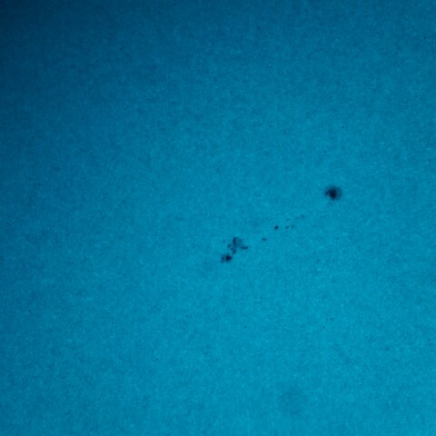 黒点半暗部周辺の現象(3662)5/2