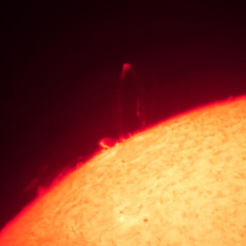 5/14の太陽(ポストフレアループ)