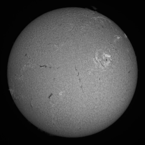 5/25の太陽(Hα中心付近)