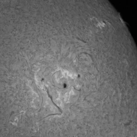 5/25の太陽(Hα：3685、3686付近)