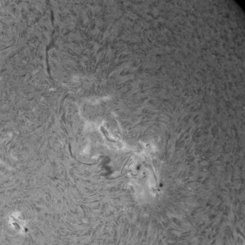 6/1朝の太陽(Hα:活動領域3691付近)