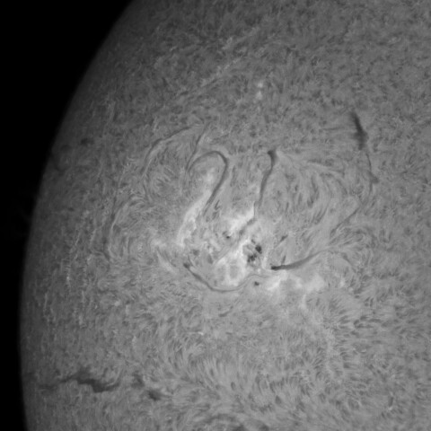 6/1朝の太陽(Hα:活動領域3697付近)