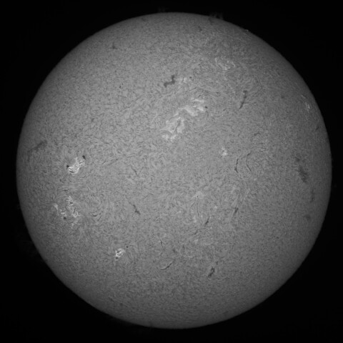 6/15の太陽(Hα中心付近)