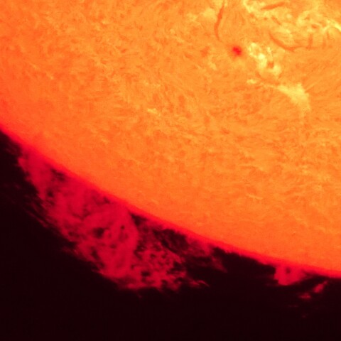 6/15の太陽(プロミネンス)