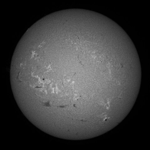 6/29朝の太陽(Hα中心付近)