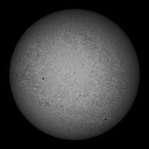 6/29朝の太陽(Hα少し長波長側)