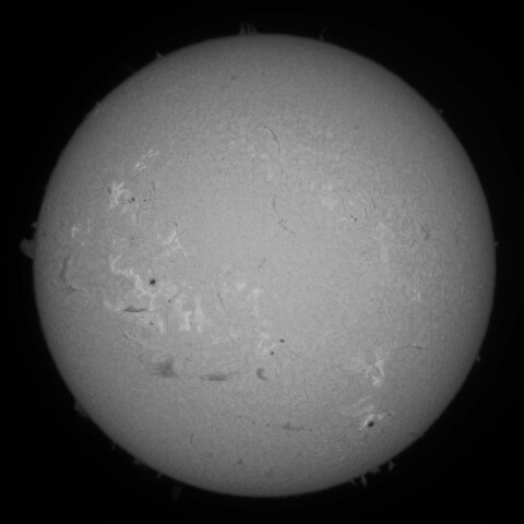 6/29朝の太陽(Hα中心付近・カラー画像からのモノクロ作成)