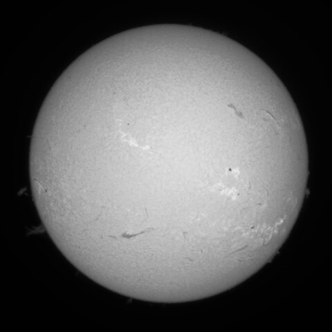 7/4昼の太陽(Hα中心付近)