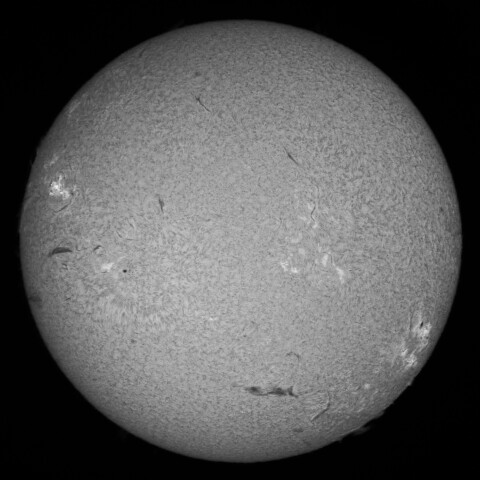 7/7朝の太陽(Hα中心付近)