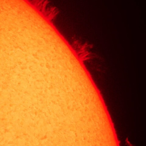 7/13の太陽(プロミネンス)