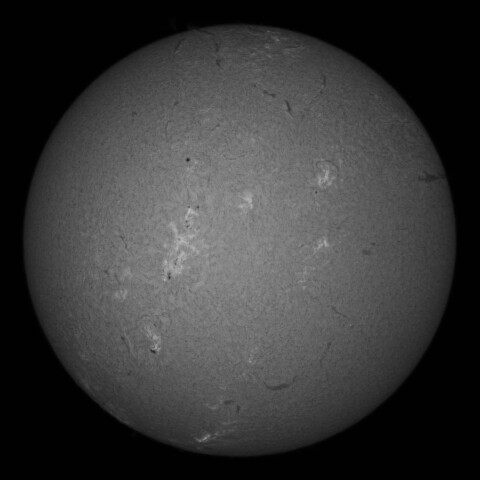 7/21朝の太陽(Hα中心付近)