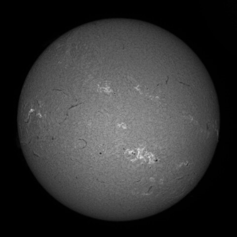 7/22朝の太陽(Hα中心付近)