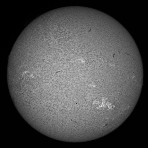 7/23朝の太陽(Hα中心付近)