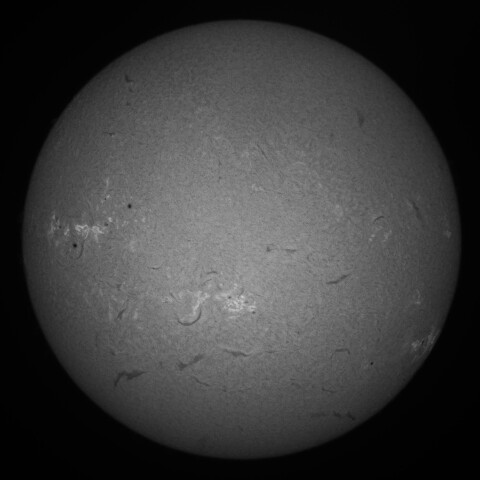 7/26朝の太陽(Hα中心付近)