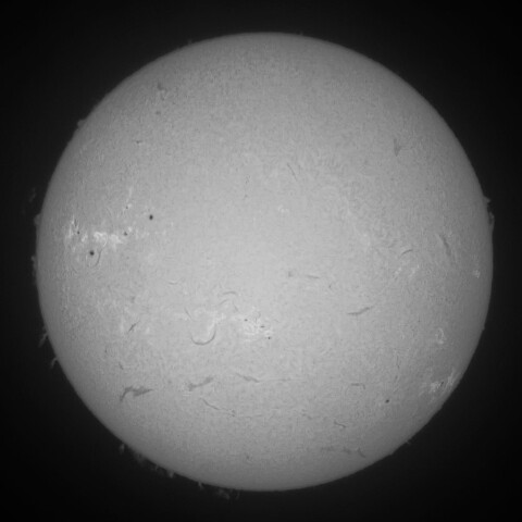 7/26朝の太陽(Hα中心付近・カラーからモノクロ化)