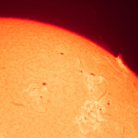 8/2朝の太陽(活動領域＋噴出)