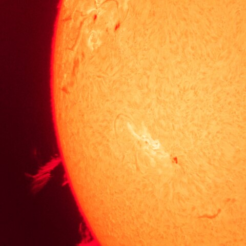 8/2朝の太陽(活動領域＋プロミネンス)