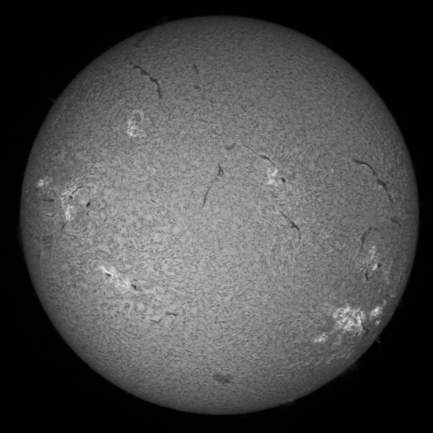 8/3朝の太陽(Hα中心付近)