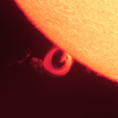 8/3朝の太陽(ループ状プロミネンス)