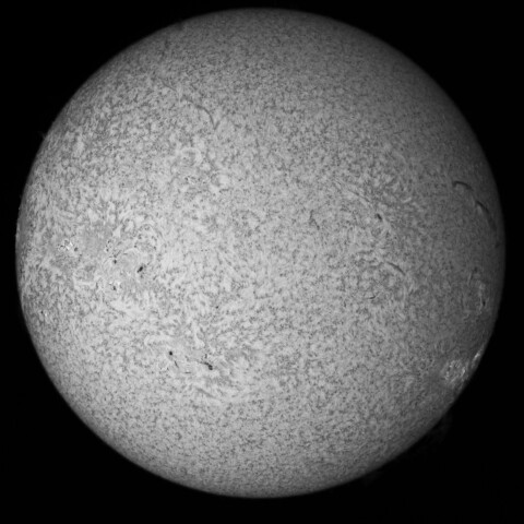 8/4朝の太陽(Hα少し長波長側)