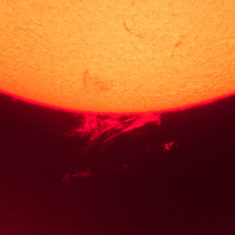 8/4夕方の太陽(プロミネンス)