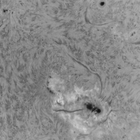 8/9朝の太陽(少し短波長側・3780付近)
