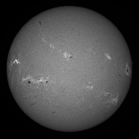 8/20朝の太陽(Hα中心付近)