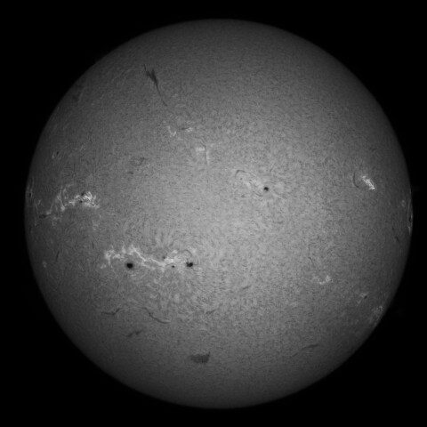 8/21の太陽(Hα中心付近)