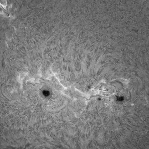 8/21の太陽(3790、3792付近)