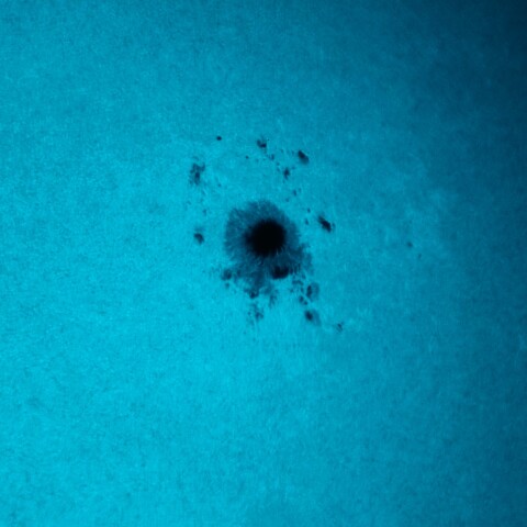 黒点半暗部周辺の現象(3784)8/18