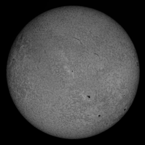 8/28朝の太陽(Hα少し短波長側)