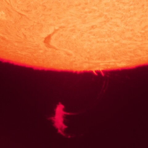 8/28朝の太陽(プロミネンス②)